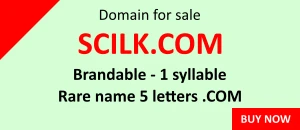 sell brandable 1 syllable domain dot com