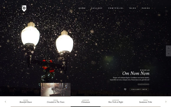 photo and personal wordpress theme