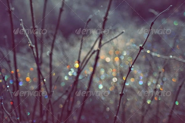 free download photodune photo of this month