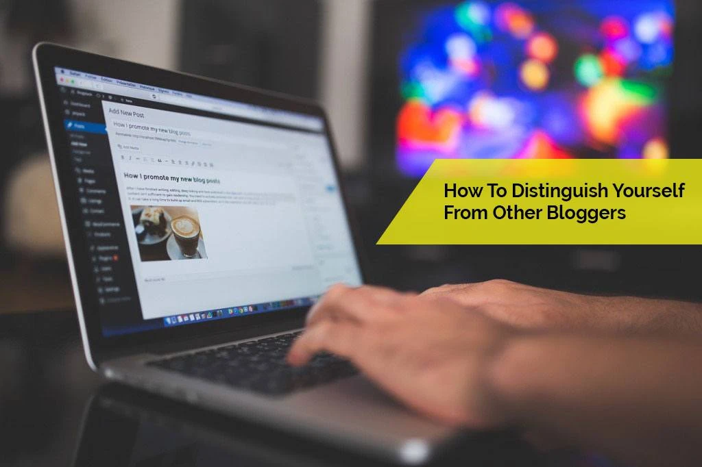 webdesign and niche blogger